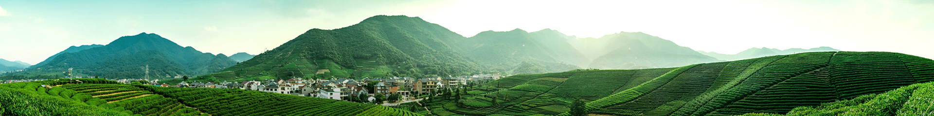 华体会网站赞助了皇马